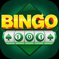 Bingo101